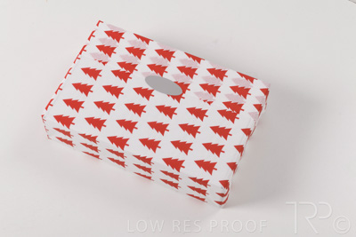 August 2021 / WRAPS_015