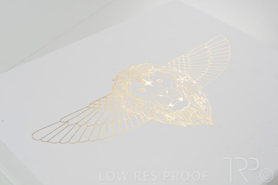 September 2021 / Q903P1773-CAMILLA-PREMIUM-GIFTBOX-Large_06