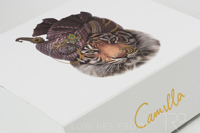 September 2021 / Q903P1778-CAMILLA-PREMIUM-GIFTBOX-XLarge_05
