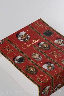 September 2021 / Q903P1779-CAMILLA-XMAS-SLEEVE_03