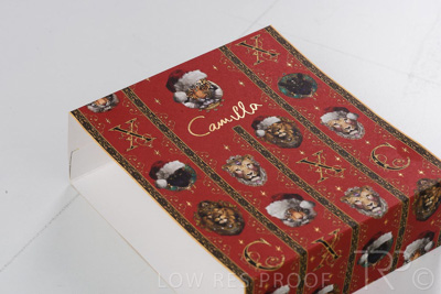 September 2021 / Q903P1779-CAMILLA-XMAS-SLEEVE_04