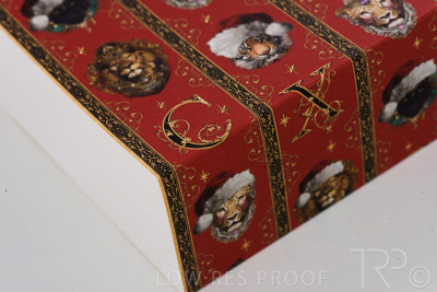 September 2021 / Q903P1779-CAMILLA-XMAS-SLEEVE_05