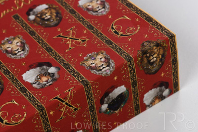 September 2021 / Q903P1779-CAMILLA-XMAS-SLEEVE_06