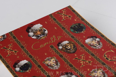 September 2021 / Q903P1779-CAMILLA-XMAS-SLEEVE_07