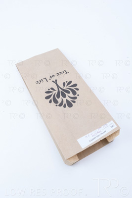 November 2021 / MASK-CTNS_73_211117