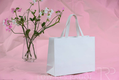 November 2023 / PP-Premium-Bags-Tissues_100_231120