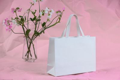 November 2023 / PP-Premium-Bags-Tissues_100_231120