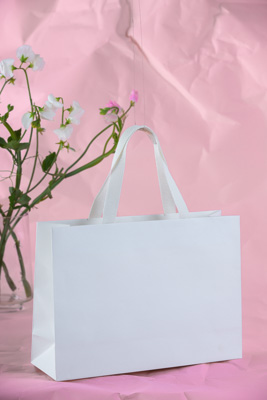 November 2023 / PP-Premium-Bags-Tissues_101_231120