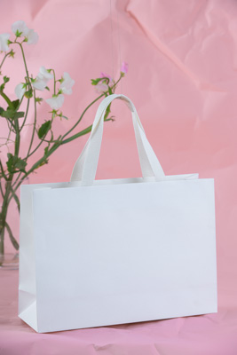 November 2023 / PP-Premium-Bags-Tissues_102_231120