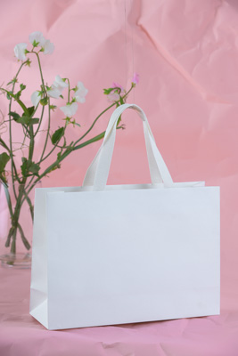 November 2023 / PP-Premium-Bags-Tissues_103_231120