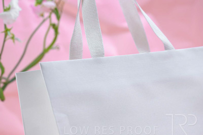 November 2023 / PP-Premium-Bags-Tissues_105_231120