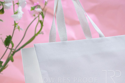 November 2023 / PP-Premium-Bags-Tissues_106_231120