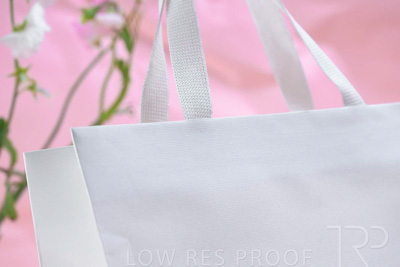 November 2023 / PP-Premium-Bags-Tissues_107_231120