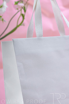 November 2023 / PP-Premium-Bags-Tissues_112_231120