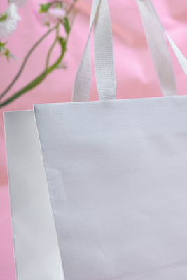 November 2023 / PP-Premium-Bags-Tissues_112_231120