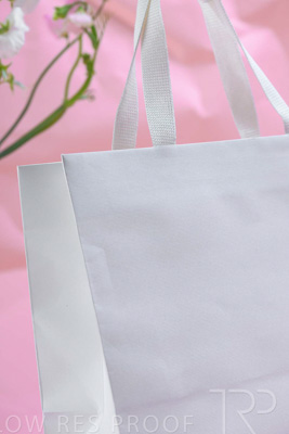 November 2023 / PP-Premium-Bags-Tissues_113_231120