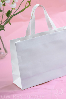 November 2023 / PP-Premium-Bags-Tissues_117_231120