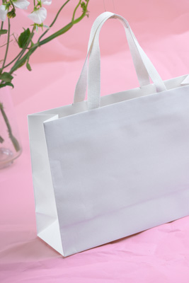 November 2023 / PP-Premium-Bags-Tissues_117_231120