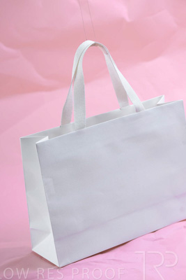 November 2023 / PP-Premium-Bags-Tissues_122_231120