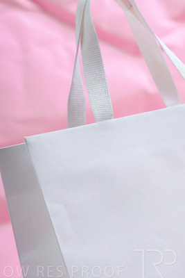 November 2023 / PP-Premium-Bags-Tissues_126_231120