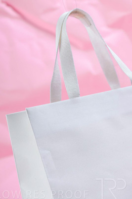 November 2023 / PP-Premium-Bags-Tissues_127_231120