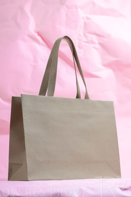 November 2023 / PP-Premium-Bags-Tissues_139_231120