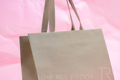 November 2023 / PP-Premium-Bags-Tissues_147_231120