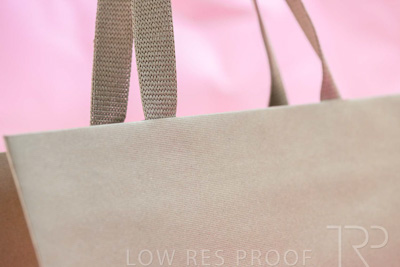 November 2023 / PP-Premium-Bags-Tissues_149_231120