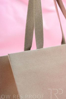 November 2023 / PP-Premium-Bags-Tissues_152_231120