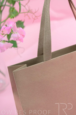 November 2023 / PP-Premium-Bags-Tissues_153_231120