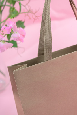 November 2023 / PP-Premium-Bags-Tissues_153_231120