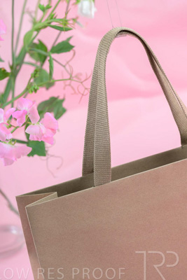 November 2023 / PP-Premium-Bags-Tissues_154_231120