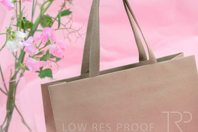 November 2023 / PP-Premium-Bags-Tissues_160_231120