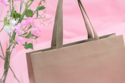 November 2023 / PP-Premium-Bags-Tissues_160_231120