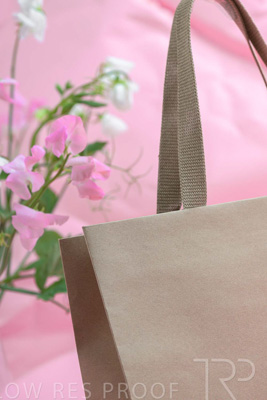 November 2023 / PP-Premium-Bags-Tissues_162_231120