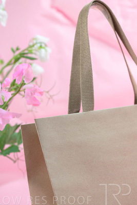 November 2023 / PP-Premium-Bags-Tissues_163_231120