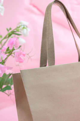 November 2023 / PP-Premium-Bags-Tissues_163_231120