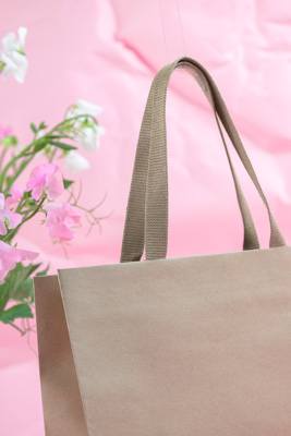 November 2023 / PP-Premium-Bags-Tissues_165_231120