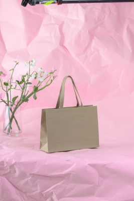 November 2023 / PP-Premium-Bags-Tissues_181_231120