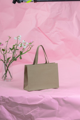 November 2023 / PP-Premium-Bags-Tissues_182_231120