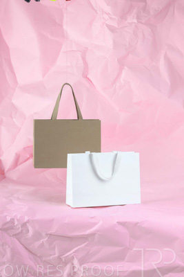 November 2023 / PP-Premium-Bags-Tissues_199_231120