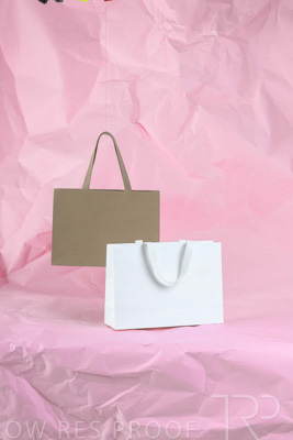 November 2023 / PP-Premium-Bags-Tissues_202_231120