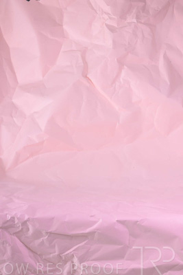 November 2023 / PP-Premium-Bags-Tissues_204_231120