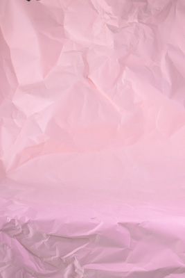 November 2023 / PP-Premium-Bags-Tissues_206_231120