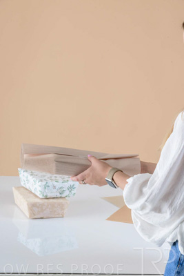 November 2023 / PP-Premium-Bags-Tissues_211_231120