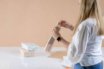 November 2023 / PP-Premium-Bags-Tissues_224_231120