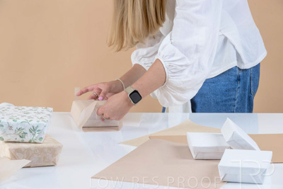 November 2023 / PP-Premium-Bags-Tissues_242_231120