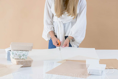 November 2023 / PP-Premium-Bags-Tissues_248_231120