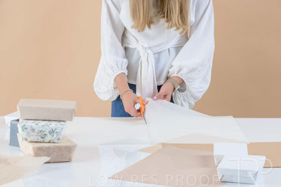 November 2023 / PP-Premium-Bags-Tissues_249_231120