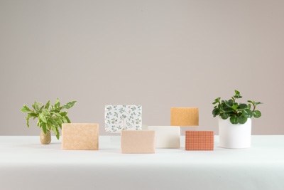 November 2023 / PP-Premium-Bags-Tissues_268_231120